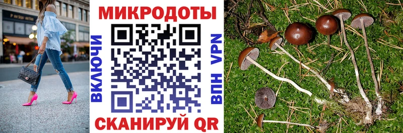 Галлюциногенные грибы Psilocybe  дарк нет Telegram  Александровск 