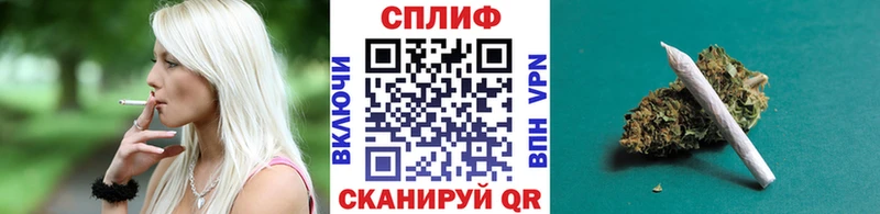 купить наркотики сайты  Александровск  Конопля сатива 